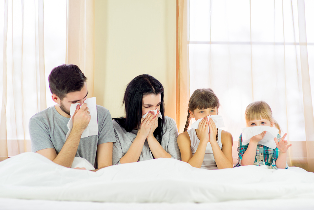 Why Madison’s Professional House Cleaners are Essential for Allergy Relief