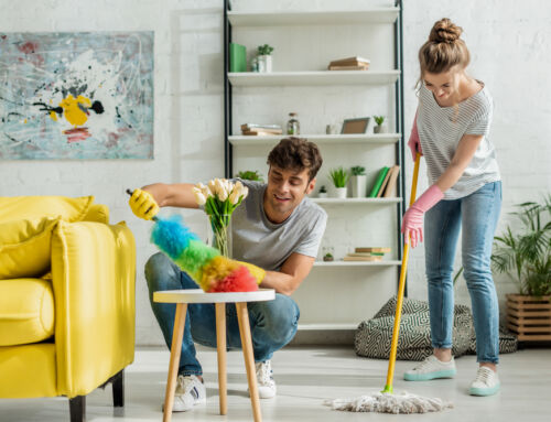 Discover the Benefits of Routine Professional Cleaning in Madison Homes