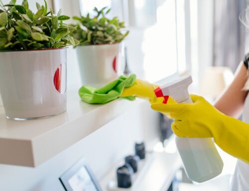 Unlock the Secrets to Long-Lasting Cleanliness in Poynette Homes