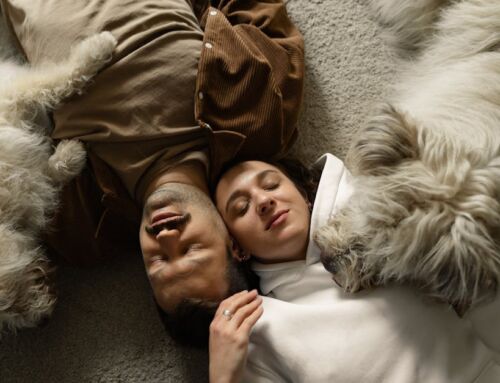 How to Keep Your Carpets Spotless Despite Your Furry Friends