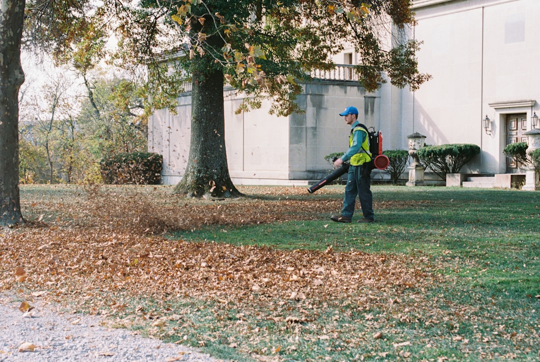 cleaning tips for fall