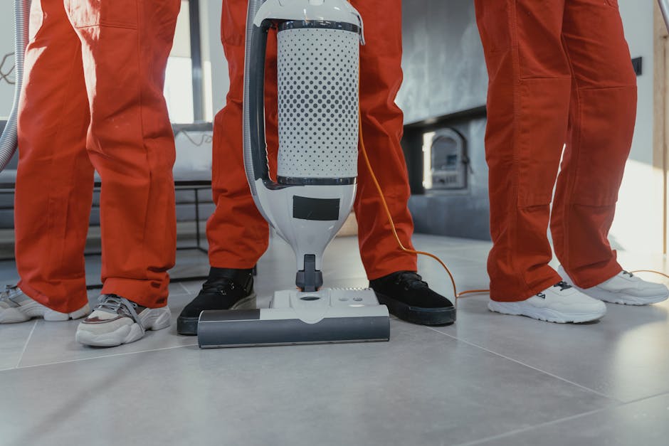 move in cleaning service