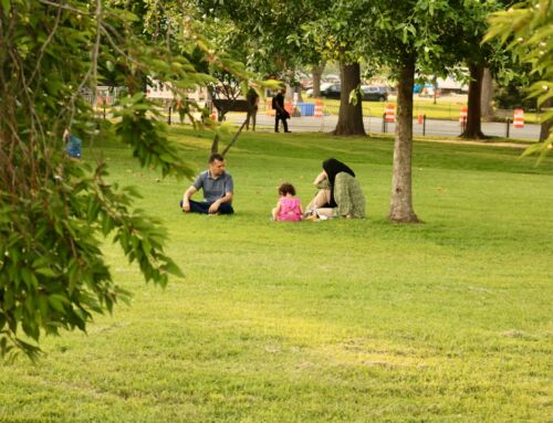 Deep Cleaning or Standard Cleaning? Clearing Up the Confusion