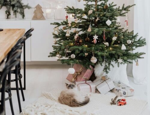 Deep Cleaning Before Winter: Why Now Is the Best Time in Wisconsin